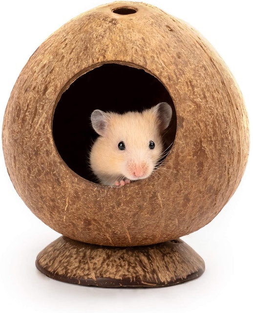 9 Best Hamster Hideouts in 2022 (Kaytee, Niteangel, and More) 4