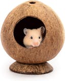 9 Best Hamster Hideouts in 2022 (Kaytee, Niteangel, and More) 4