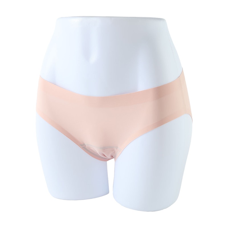 Leakproof Bikini 1