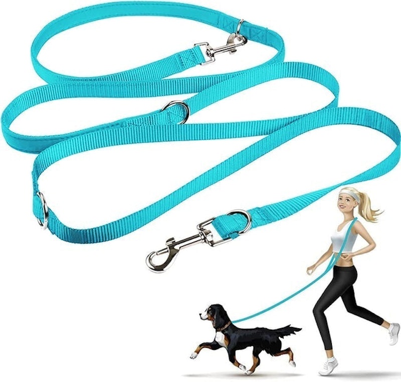 Multifunctional Dog Leash 2