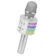 Bonaok 4-in-1 Portable Handheld Karaoke Mic 1