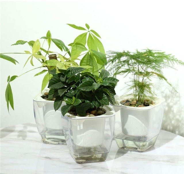 10 Best Self-Watering Planters in 2022 (Master Gardener-Reviewed) 5