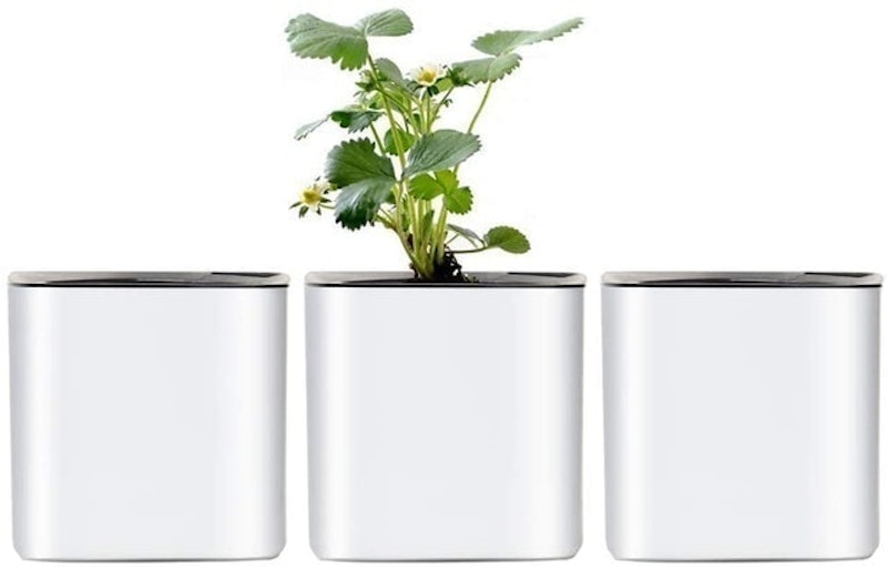 Self Watering Planter Foolproof Indoor Home Garden Modern Decorative Pot 1