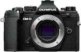 5 Best Mirrorless Cameras for Beginners in 2022 (Concert & Travel Photographer-Reviewed) 5