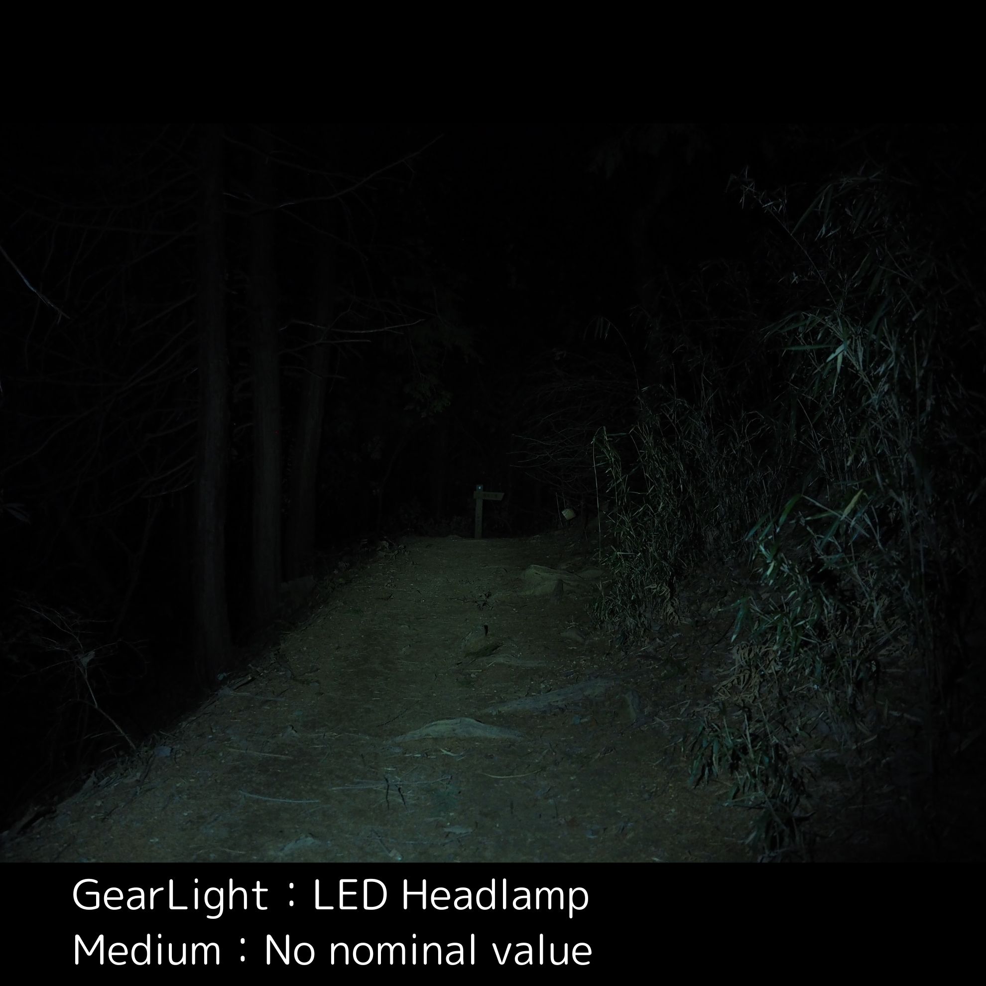 LED Headlamp 15