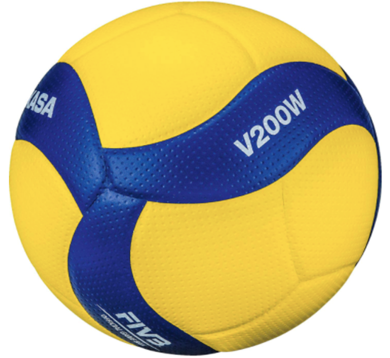 Light Up LED Volleyball 1