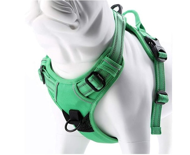 10 Best No-Pull Dog Harnesses in 2022 (PetSafe and More) 4