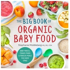 The Big Book of Organic Baby Food