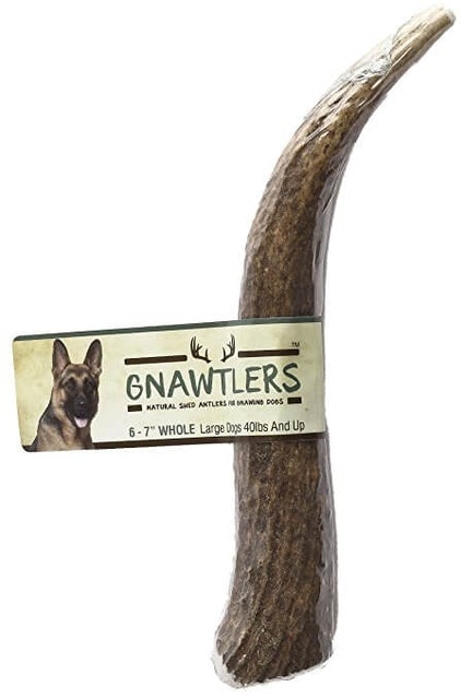 10 Best Dog Chew Toys in 2022 (KONG, Goughnuts, and More) 3