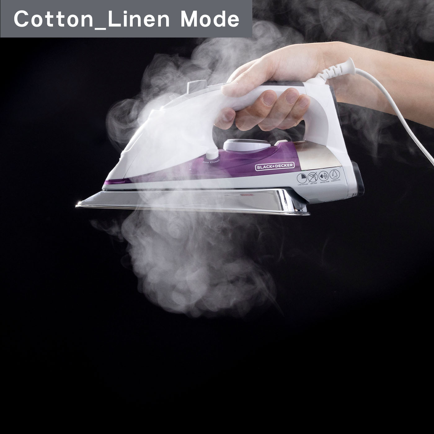 Professional Steam Iron 9