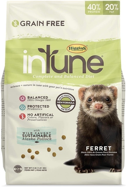 Best dry clearance food for ferrets