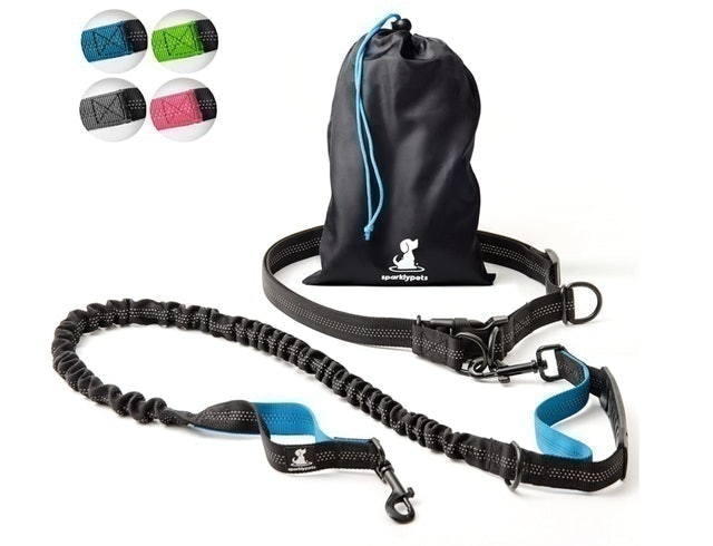 10 Best Dog Leashes for Running in 2022 (TaoTronics, oneisall, and More) 1