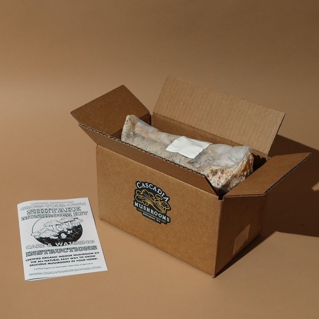 10 Best Mushroom Grow Kits in 2022 (Master Gardener-Reviewed) 4