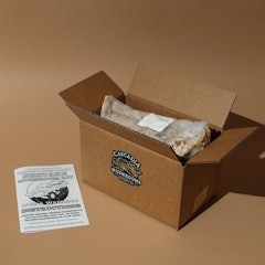 Shiitake Mushroom Grow Kit