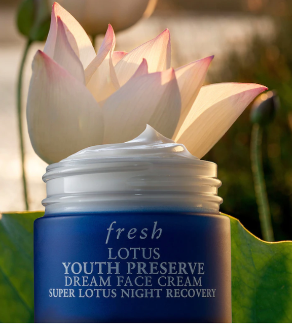Anti-Wrinkle Cream Deep Wrinkle Night Moisturizer 2