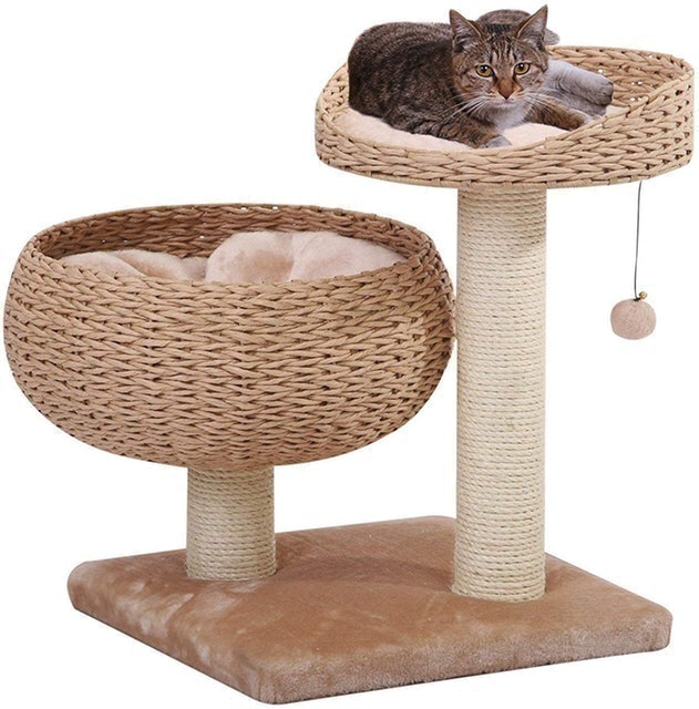 10 Best Cat Trees in 2022 (New Cat Condos, PetPals, and More) 2