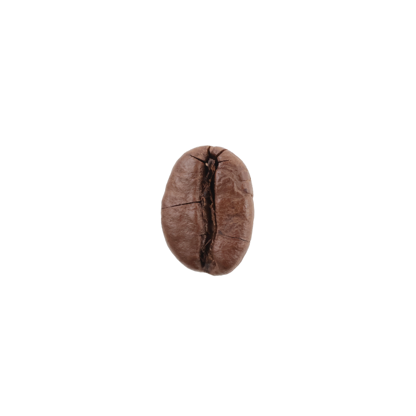 Breakfast Blend 6