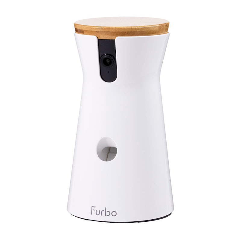 360° Dog Camera 1