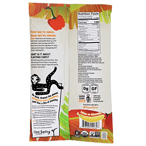 Organic Plantain Chips Spicy Mango Salsa 2