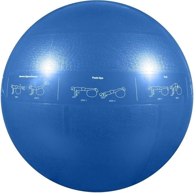 Professional Grade Stability Ball 2