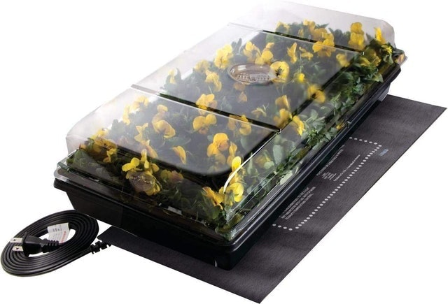 Germination Station With Heat Mat Tray 1