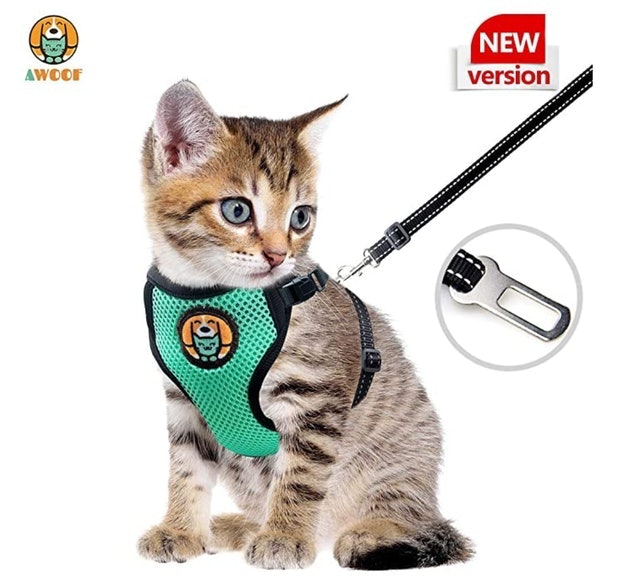 Adjustable Kitten and Cat Harness With Leash 1