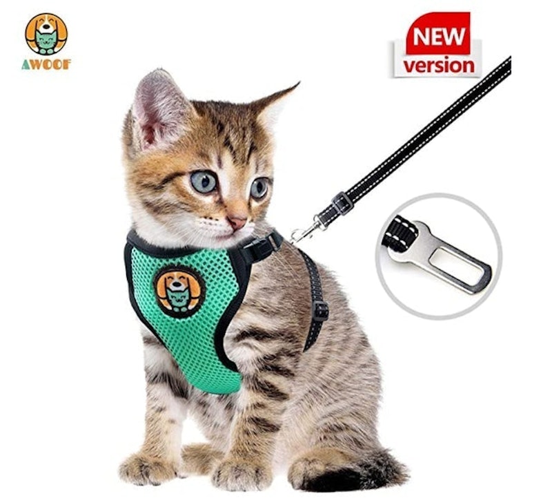 Adjustable Kitten and Cat Harness With Leash 1