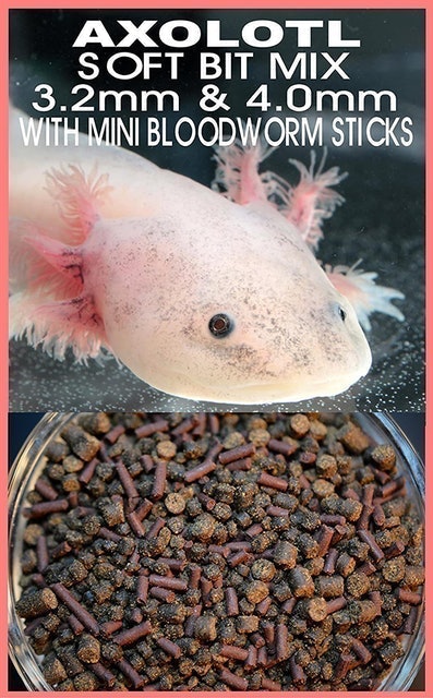 Axolotl frozen food fashion