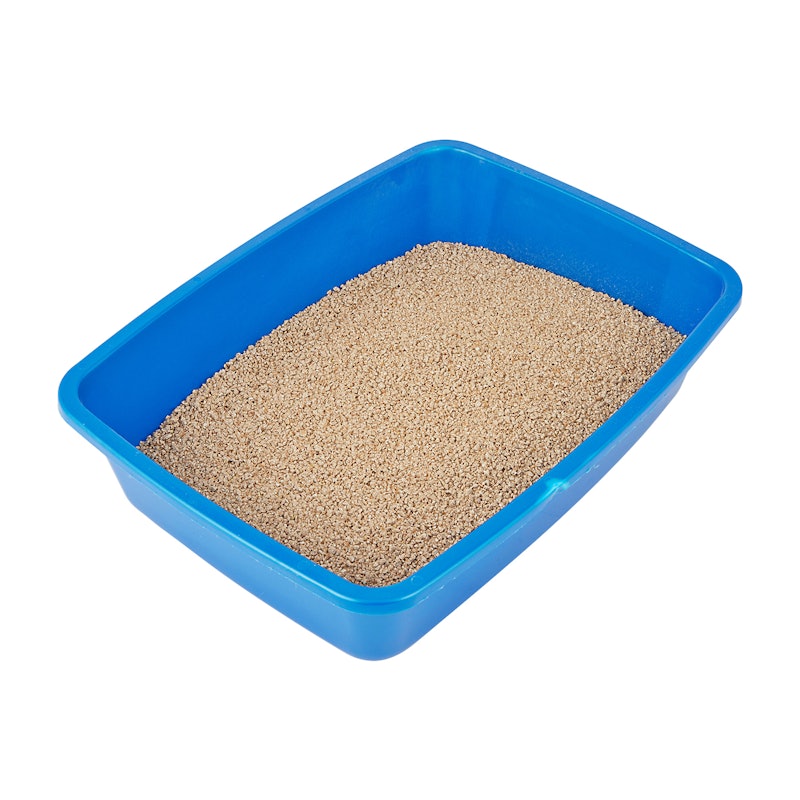 Original Wheat Cat Litter 6