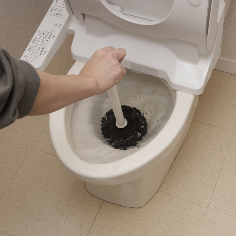 Toilet Plunger With Caddy 5
