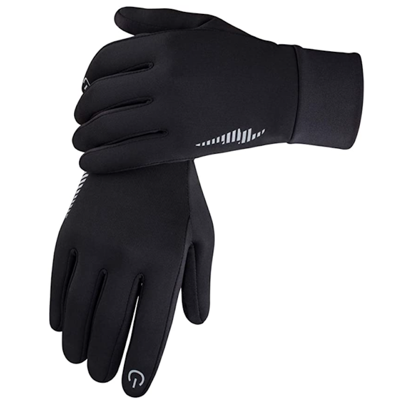 Winter Gloves 1