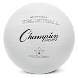 10 Best Volleyballs of 2026 (Wilson, Tachikara, and More) 2