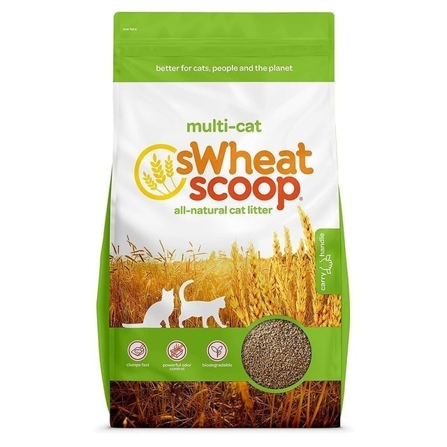 10 Best Cat Litters in 2022 (Purina, Arm & Hammer, and More) 5