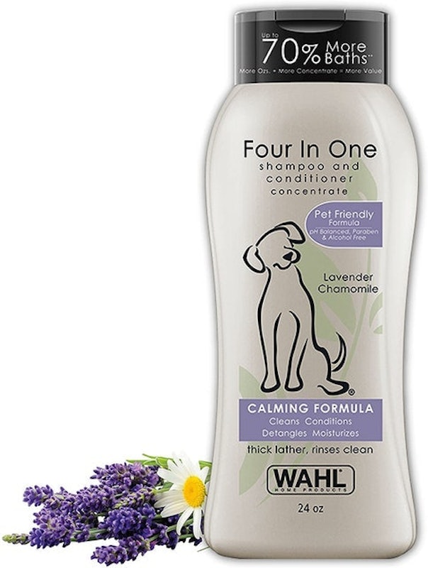 Four in One Shampoo and Conditioner Concentrate 1