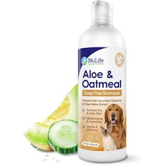 Aloe & Oatmeal Soap-Free Shampoo