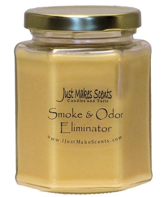 10 Best Pet Odor Eliminator Candles in 2022 (Fresh Wave and More) 4