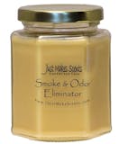 10 Best Pet Odor Eliminator Candles in 2022 (Fresh Wave and More) 4