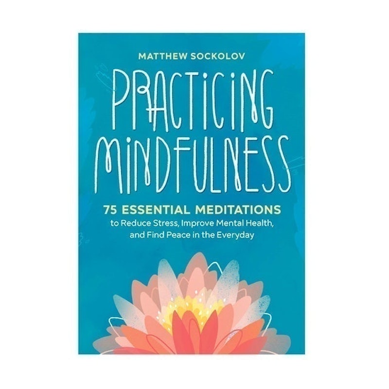 Practicing Mindfulness 1