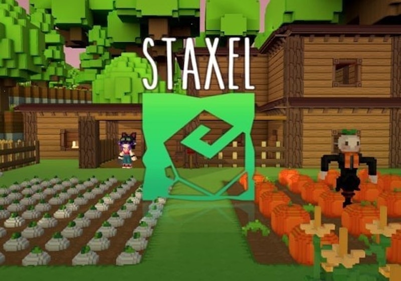 Staxel 1