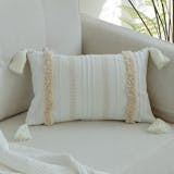 10 Best Throw Pillow Covers in 2022 (PHF, blue page, and More) 4