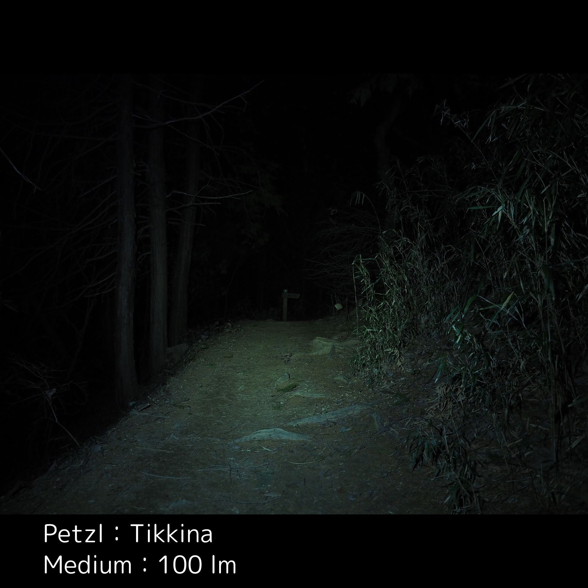 Tikkina 13