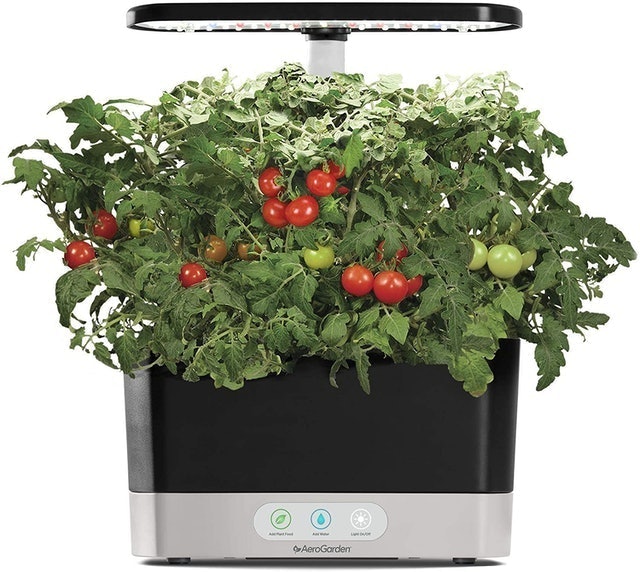 10 Best Hydroponics Kits in 2022 (Master Gardener-Reviewed) 2