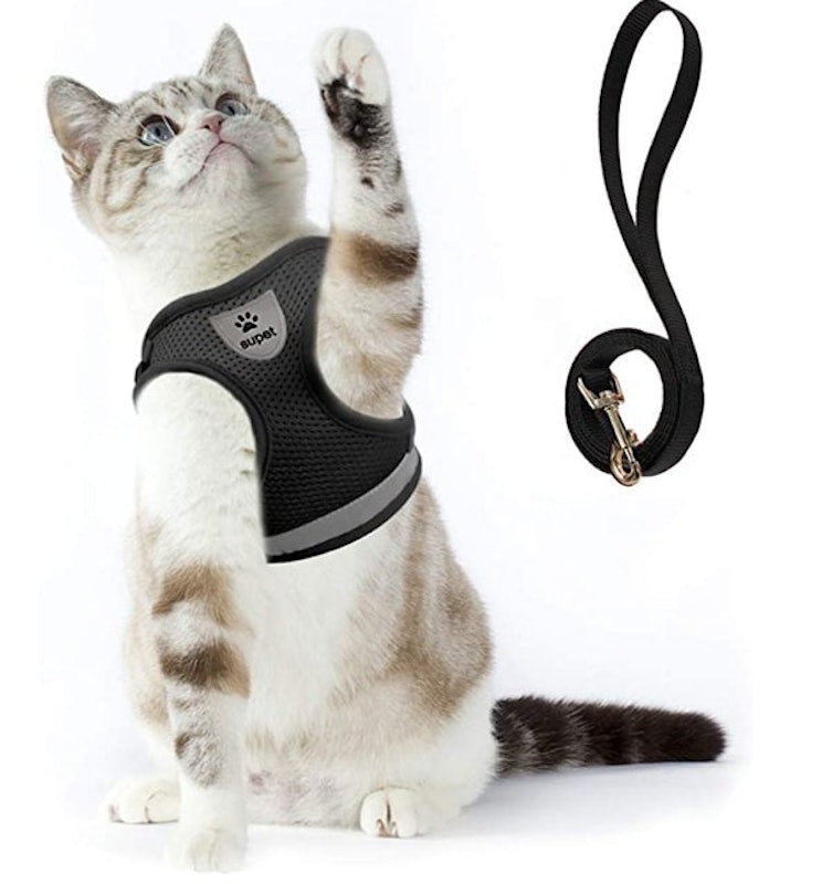 Harness and Leash Set 1