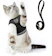 Supet Harness and Leash Set 1