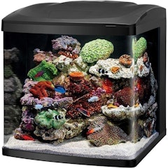 LED Biocube Aquarium