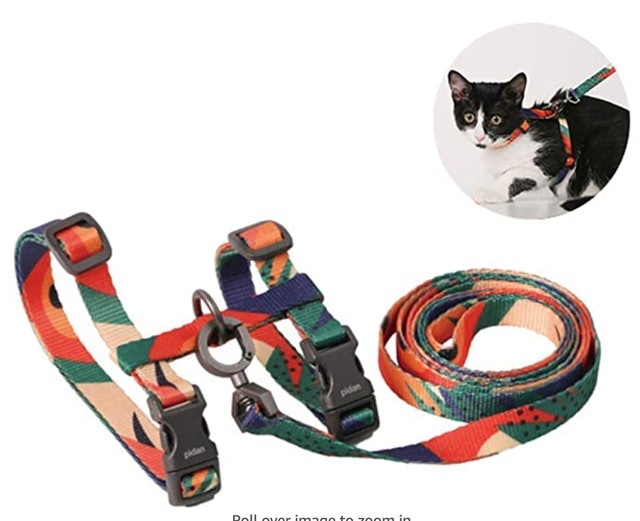 Cat Harness and Leash Set 1