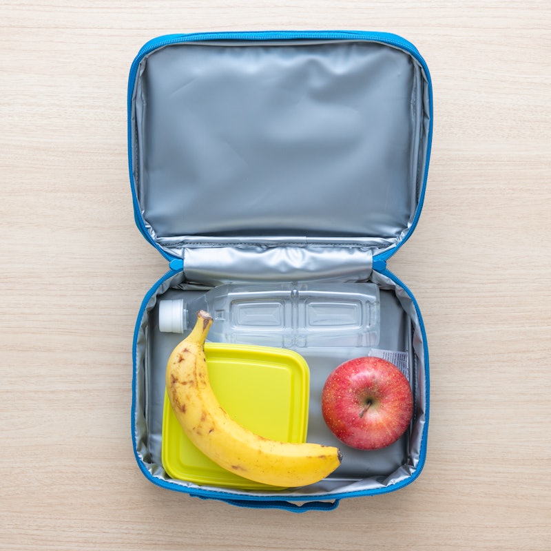 Pop Quiz Lunch Box 4