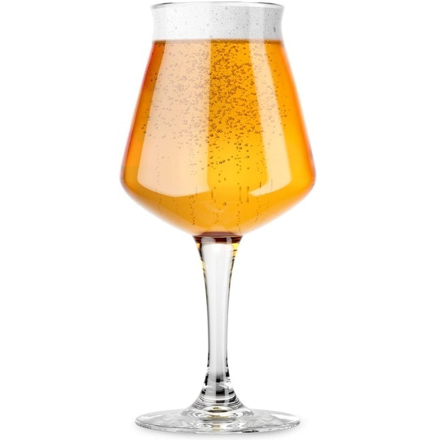 Nucleated Teku Beer Glass  1