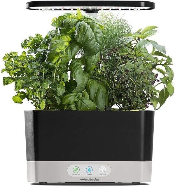 10 Best Indoor Garden Kits in 2022 (Master Gardener-Reviewed) 1