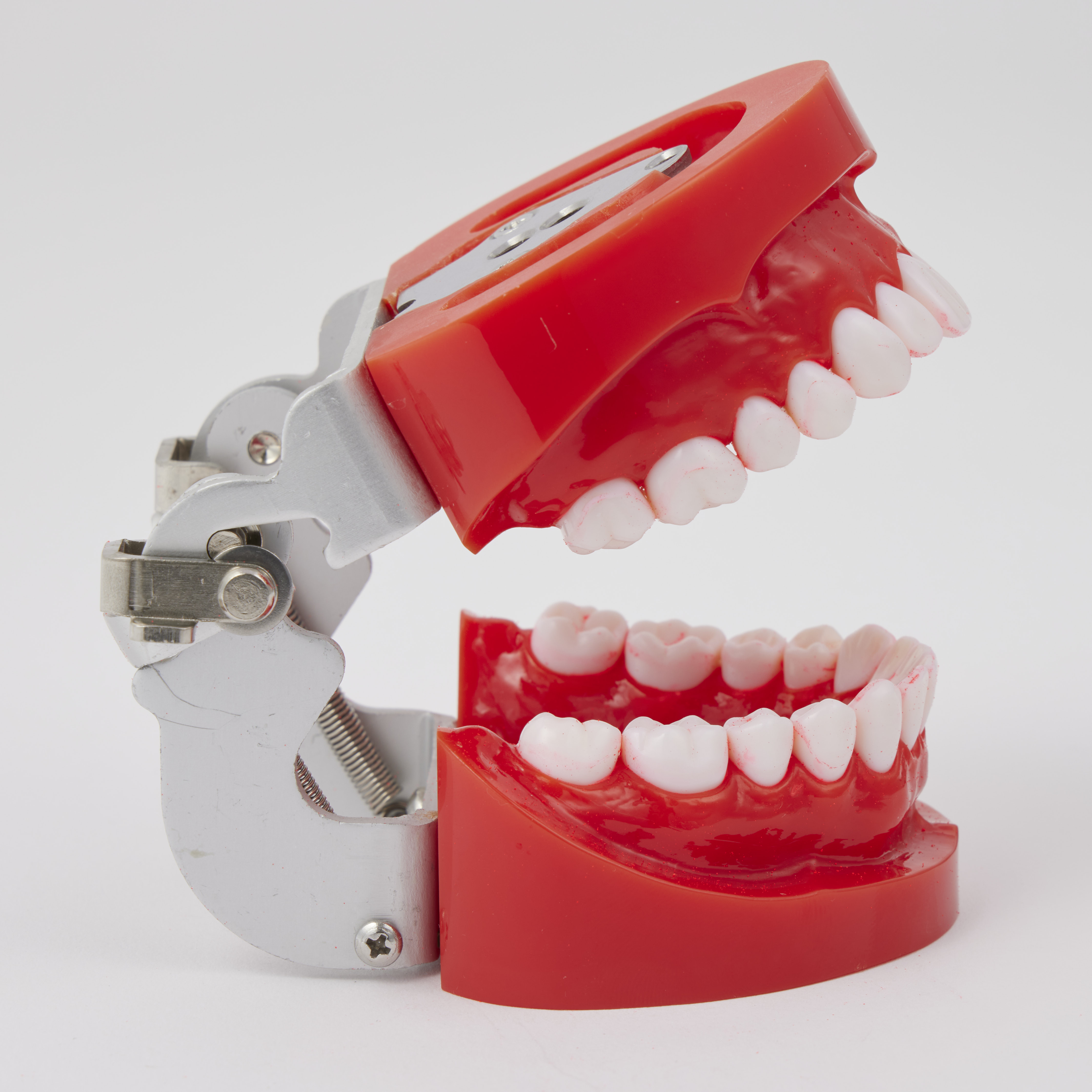 Bitvae R2 Rotating Toothbrush 9